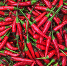 Red Thai Pepper Seeds – Heirloom Non-GMO High-Yield Chili Seeds for Spicy Cuisine, Capsicum annuum