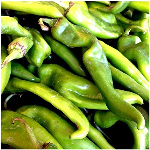Hatch Rattlesnake Pepper Seeds – Heirloom Capsicum annuum, Spicy & Smoky, Medium Hot, High Yield, Full Sun, 25 Seeds