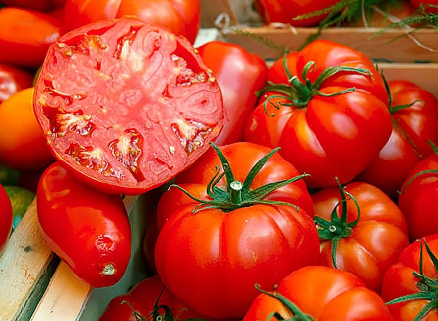 Tomato Seeds Beefsteak Heirloom Large Juicy High Yield for Slicing & Containers Solanum lycopersicum