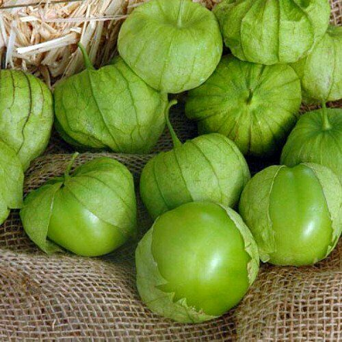 Tomatillo Verde Seeds 100mg | Physalis philadelphica for Salsas, Cooking, Planting