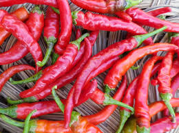 Hot Cayenne Red Long Pepper Seeds, Non-GMO, Spicy Chili, Capsicum annuum, Perfect for Drying, Hot Sauces, Fresh Cooking