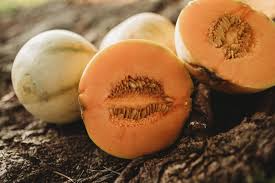 Charentais Melon Seeds – French Heirloom Cucumis melo with Sweet Fragrant Orange Flesh, Compact Fruit for Home Garden
