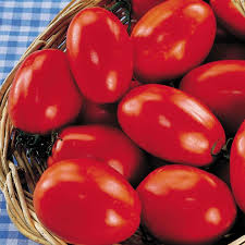 San Marzano Short Vine Tomato Seeds, Indeterminate Heirloom Variety, Lycopersicon esculentum, Compact Red Fruit, Sauce & Canning