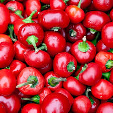 Large Hot Cherry Pepper Seeds – Heirloom, Mild-Heat, High Yield, for Pickling, Stuffing & Salsas – Capsicum annuum