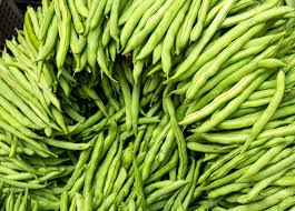 Provider Green Bush Bean Seeds - Heirloom Non-GMO, High-Yield, Fast-Growing Beans for Garden Beds & Containers