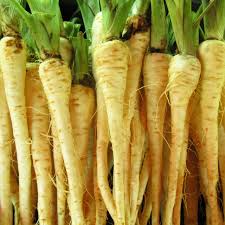 Parsnip Seeds 1g Heirloom Non-GMO Pastinaca sativa Sweet Nutty Root Vegetable