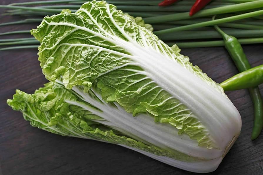 1000 Michihili Cabbage Seeds - Heirloom Non-GMO Chinese Napa Cabbage for Stir-Fry, Kimchi, Salad | Brassica rapa subsp. pekinensis