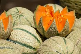 Charentais Melon Seeds - Heirloom French Cantaloupe - Organic Non-GMO Fruit Seeds for Home Garden, Sweet & Fragrant Cucumis melo var. cantalupensis