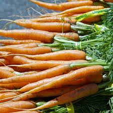 Little Fingers Carrot Seeds – Heirloom Mini Baby Carrots, Sweet & Crisp, Daucus carota, 300 Seeds