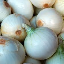 White Sweet Spanish Onion Seeds | Heirloom Non-GMO | Long-Day Allium cepa | Sweet & Mild Flavor