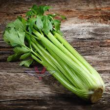 Golden Self-Blanching Celery Seeds – Heirloom Variety for Tender, Mild Stalks (Apium graveolens)