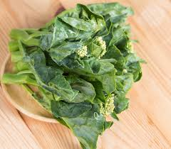 Chinese Broccoli Kailaan Seeds 500mg Open Pollinated Heirloom Brassica oleracea Greens & Tender Stalks