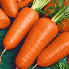 300 Seeds Red Cored Chantenay Carrot Heirloom Variety for Fresh Eating & Cooking - Daucus carota