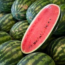 Jubilee Improved Watermelon Seeds Heirloom Non-GMO Fusarium Wilt Resistant | Sweet Red Flesh | Citrullus lanatus