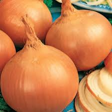 Vegetable Seeds - 250mg Burrell's Yellow Valencia Onion Allium cepa - Sweet Globe, Non-GMO, High Yield, Storage-Ready