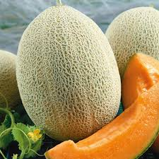 Hales Best Jumbo Melon Seeds | Cucumis melo | Heirloom, Non-GMO, Sweet Juicy, Heat-Tolerant Fruit Seeds
