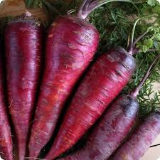 Purple Dragon Carrot Seeds - 200 Heirloom Daucus Carota, Vibrant Purple Skin, Sweet Crunchy Flavor, 6-8 Inch Long, Full Sun