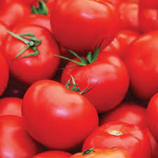 50 Seeds Floradade Tomato (Solanum lycopersicum) – Heat-Tolerant, High-Yielding Indeterminate Variety for Hot Climates