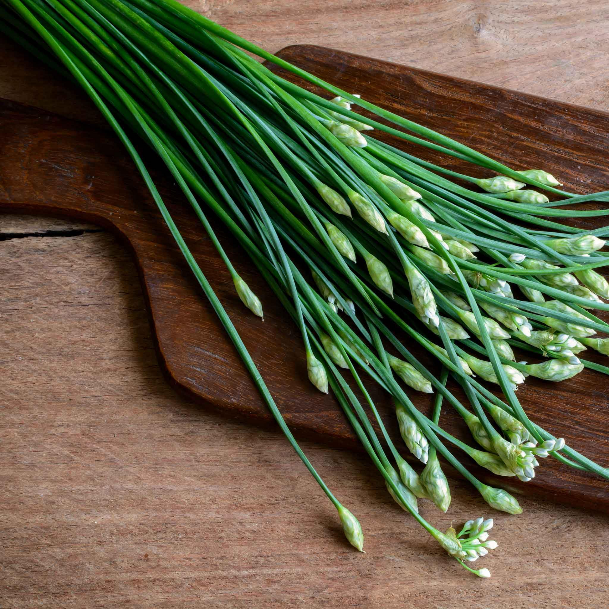 Garlic Chives Seeds – 300mg Heirloom, Fragrant, High Yield, Perennial Herb for Garden & Container – Allium tuberosum