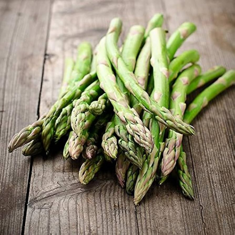 Asparagus Seeds 1g Mary Washington Heirloom Vegetable Perennial Asparagus officinalis