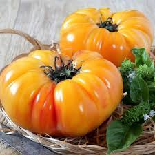 30 Pineapple Tomato Seeds | Heirloom Bicolor Beefsteak | Solanum lycopersicum | Sweet & Juicy, Large Fruits