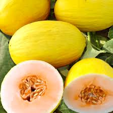 Crenshaw Melon Seeds – Sweet Juicy Aromatic Fruit – Cucumis melo Hybrid for Home Gardens
