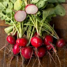 Radish Seeds Cherry Belle Heirloom Non-GMO Raphanus sativus Fast-Growing Vegetable, Crisp & Mild Flavor
