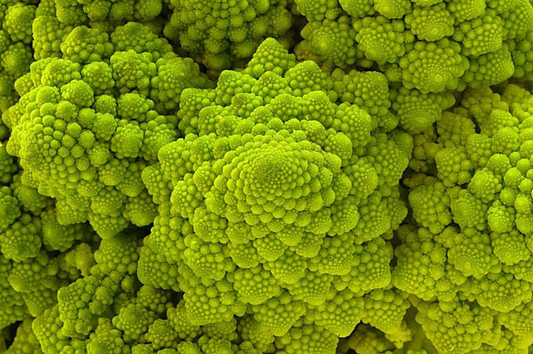 1,000 Non-GMO Heirloom Romanesco Broccoli Seeds – Unique Fractal Shape, USA Seller