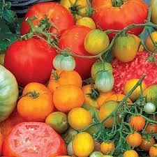 15 Seeds Creole Tomato Heirloom Solanum lycopersicum – Sweet Juicy Red Tomato for Gardens & Containers