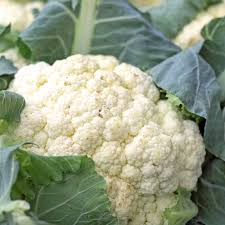 Cauliflower Snowball Y Improved Seeds – Heirloom Organic Non-GMO Brassica oleracea Vegetable Seeds