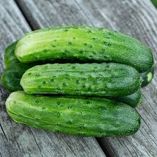 Cucumber Seeds Spacemaster 80 Compact High-Yield Cucumis sativus for Small Gardens & Containers