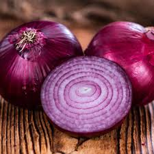 Onion Red Burgundy Seeds 300mg Allium cepa Short-Day Heirloom Non-GMO Easy to Grow