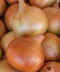 500+ Patterson Onion Seeds – High Yield, USA Grown, Allium cepa, Vegetable Garden Seeds for Homegrown Onions