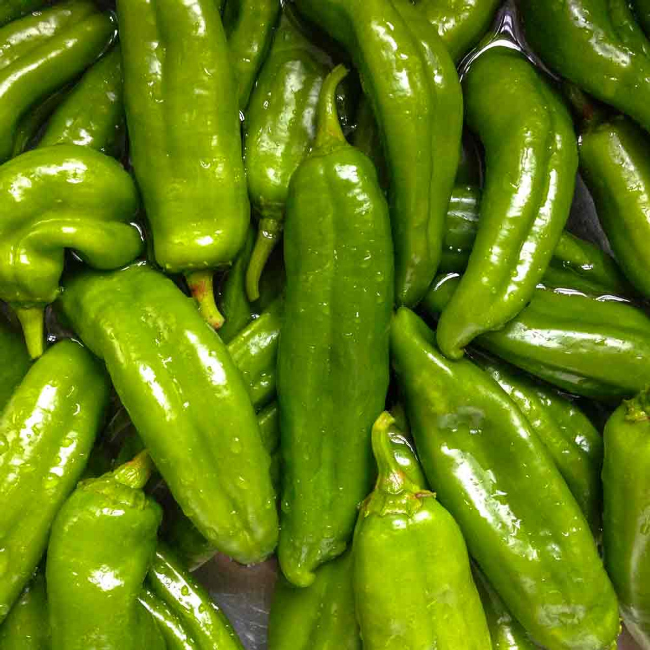 Anaheim Hot Pepper Seeds – 300mg Heirloom Capsicum annuum for Garden & Container, Mild Heat & Sweet Flavor, High Yield