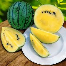 Yellow Doll Seedless Watermelon Seeds - 50+ USA Grown, Compact Vine, Sweet Yellow Flesh, Seedless Melon, Fast Growing, Home Garden