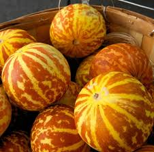 Tigger Melon Seeds – Heirloom Striped Fruit with Fragrant White Flesh – Cucumis melo, Compact Vine, 10 Seeds