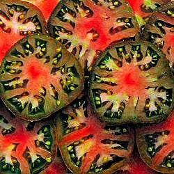 Black Sea Man Tomato Seeds - Heirloom, Non-GMO, 8-12 oz Fruit, Russian Variety, Salad Tomato, USDA Zones 3-10