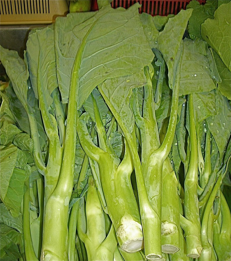 125 Kailaan Chinese Broccoli Seeds - Heirloom Gai Lan - Asian Greens - Brassica oleracea var. alboglabra for Stir-Fries & Gardening
