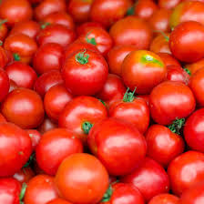 Early Girl Tomato Seeds – F1 Hybrid, Fast-Maturing, Sweet Juicy Red Tomatoes, Perfect for Small Spaces & Container Gardening