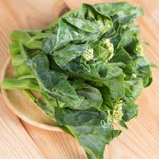 Chinese Broccoli Kailaan Seeds – 500mg Open Pollinated for Tender Stems & Leaves, Fast Growing, High Yield, Garden & Container Planting