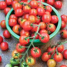 Red Cherry Tomato Seeds – 100mg Heirloom, Sweet & Juicy, High Yield, for Salads & Containers, Solanum lycopersicum