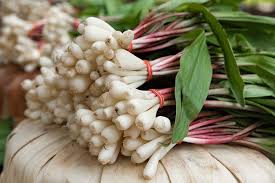 Wild Leeks Ramps Bulbs - 3 Organically Grown Bare Root Allium Tricoccum for Shaded Gardens