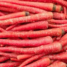 Atomic Red Carrot Seeds - Heirloom Non-GMO, Deep Red & Orange Roots, Sweet & Crisp, 150-15,000 Seeds, Cool Season Vegetable