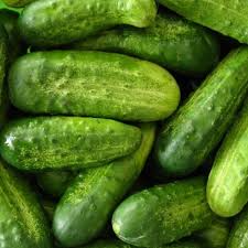 Cucumber Seeds National Pickling Cucumis sativus | High-Yield, Heirloom, Perfect for Pickling & Fresh Eating