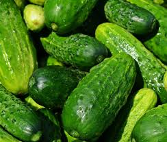 Cucumber Seeds National Pickling Heirloom Cucumis sativus for Gardening & Pickling, 35 Seeds
