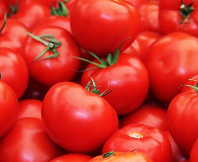 Heirloom Tomato Seeds 100 Floridade Lycopersicon esculentum Non-GMO Heat-Tolerant Slicing Tomato