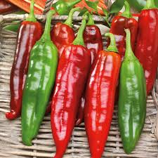 Hot Hatch Big Jim Chili Pepper Seeds, Capsicum annuum, Mild-Medium Heat, Non-GMO, Perfect for Roasting, Salsas, Stuffing