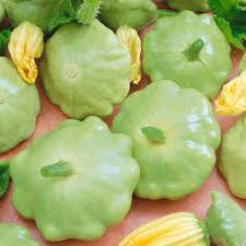 Bennings Green Tint Scallop Squash Seeds | Heirloom Cucurbita pepo | Deer-Resistant, 2-3 Inch Pale Green Summer Squash Seeds