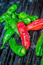 Shishito Oriental Hot Pepper Seeds – Capsicum annuum, Mildly Spicy Japanese Pepper for Planting, Sautéing & Grilling
