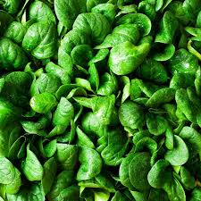Spinach Seeds Bloomsdale Long Standing Non-GMO Heirloom Spinacia oleracea Cool-Season Vegetable